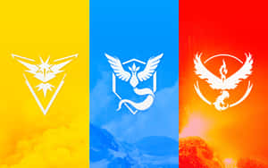 Pokemon Logos In Different Colors Wallpaper