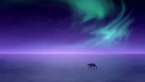 Polar Bear And Aurora Borealis Unique Hd Wallpaper