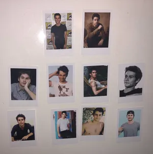Polaroids Dylan O'brien Wallpaper