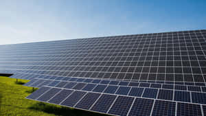 Polycrystalline Solar Panel System Rows Wallpaper