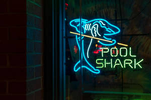 Pool Shark Signage Wallpaper