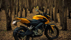 Powerful Pulsar Rs200 In The Depth Of The Forest Wallpaper
