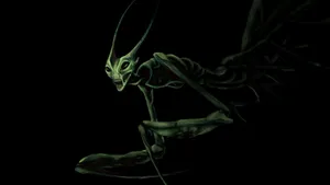 Praying Mantis Creepy Art Wallpaper