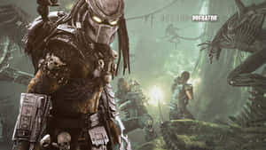 Predator Celtic In Alien Vs Predator Wallpaper