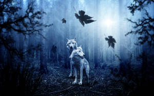 Predator Forest Wolves Wallpaper