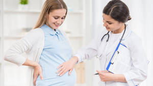 Pregnancy Female Doctor Wallpaper