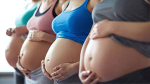 Pregnancy Four Women Wallpaper