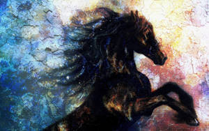 Pretty Black Horse Art Wallpaper