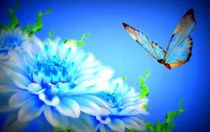 Pretty Blue Butterfly Wallpaper