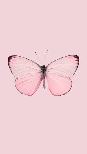 Pretty Pink Butterfly Lock Screen Wallpaper