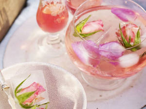 Pretty Pink Cordial Wallpaper