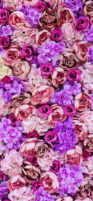 Pretty Purple And Pink Floral Bouquet Wallpaper