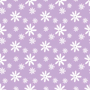 Pretty Purple Surface Covered With Daisies Wallpaper
