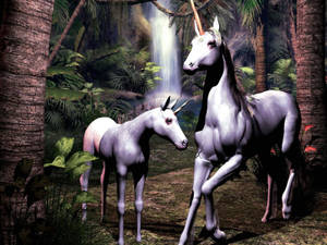 Pretty Uniforn Waterfall Wallpaper