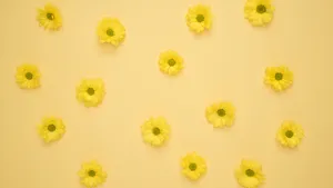 Pretty Yellow Aesthetic Flower Desktop Wallpaper