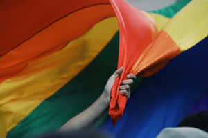 Pride Flagin Hand.jpg Wallpaper
