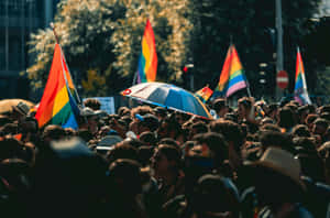 Pride Parade Celebration.jpg Wallpaper