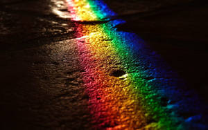 Pride Rainbow On Road Wallpaper