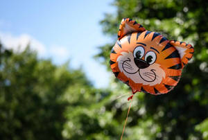 Princeton University Tiger Head Balloon Wallpaper