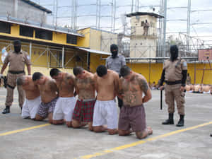 Prisoners_and_ Guards_ Control_ Operation Wallpaper