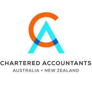 Professional Chartered Accountant Reviewing Financial Statements Wallpaper