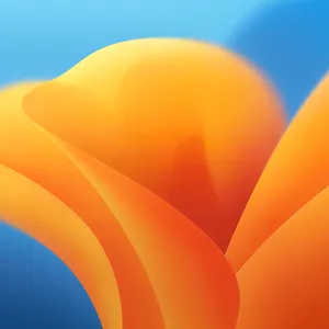 Professional Digital Abstract Art Wallpaper