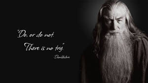 Professor Albus Dumbledore Harry Potter Desktop Wallpaper