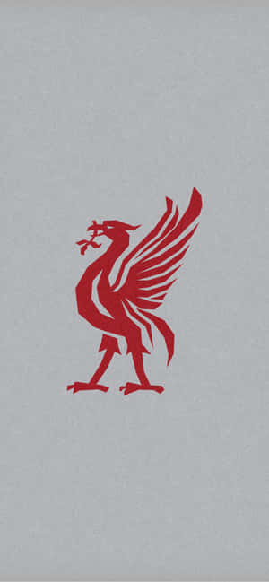 Proudly Display Your Liverpool F.c. Pride With The Official Liverpool Iphone Wallpaper