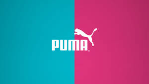 Puma Blue And Pink Wallpaper