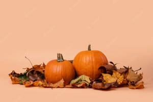 Pumpkins Hd Photography Wallpaper
