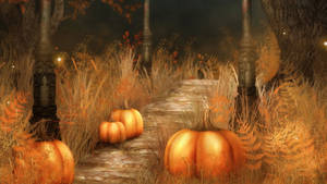 Pumpkins On Grassy Road Halloween Computer Wallpaper