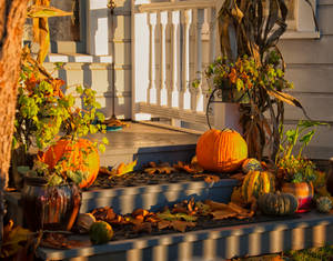 Pumpkins On Terrace Hd Wallpaper