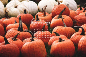 Pumpkins September Calendar Wallpaper