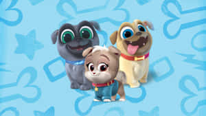 Puppy Dog Pals Bingo Rolly Keia Wallpaper