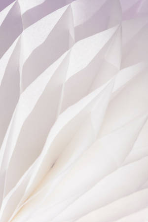 Pure White Abstract Flower Wallpaper