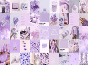 Purple Aesthetic - A Blend Of Cool And Chic Wallpaper