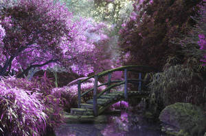 Purple Aesthetic Garden Wallpaper