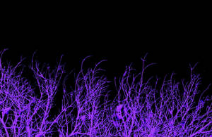 Purple And Black Aesthetic Branches Wallpaper