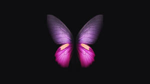 Purple And Cute Pink Butterfly Wallpaper