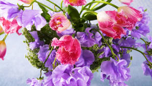Purple And Pink Real Floral Wallpaper