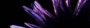 Purple Crystals On A Black Background Wallpaper
