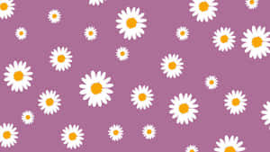 Purple Daisy Aesthetic Computer Wallpaper