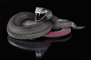 Purple Eyes Black Mamba Snake Wallpaper