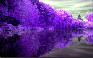 Purple Lake Reflection Wallpaper