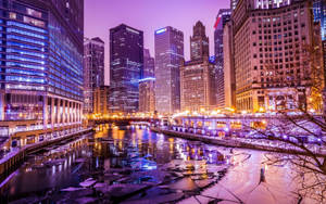 Purple Lights In Chicago City Wallpaper