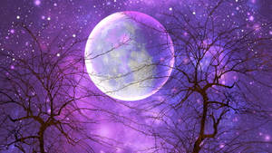 Purple Moon Night Sky Wallpaper