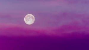 Purple Night Sky With Moon Wallpaper