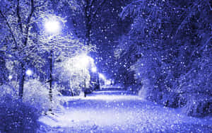 Purple Night Snowfall Wallpaper