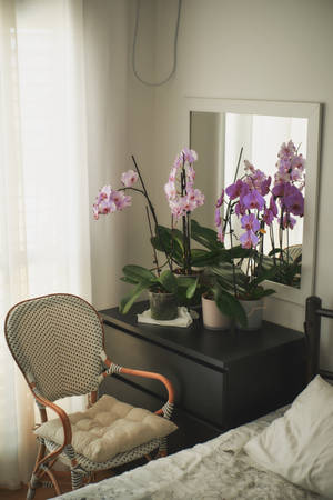 Purple Orchids On Table Wallpaper