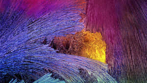 Purple Paint Galaxy Note 4 Wallpaper